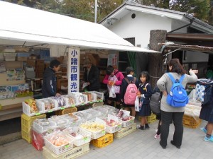 dscn1248